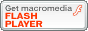 FlashPlayerɤ